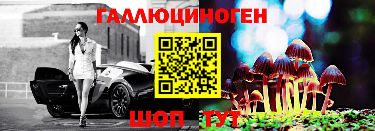Сосновоборск  Галлюциногенные грибы Psilocybine cubensis  Вход с VPN 